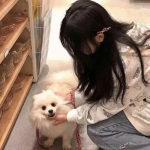 蜻蜓手游乐园下载安装最新版本
